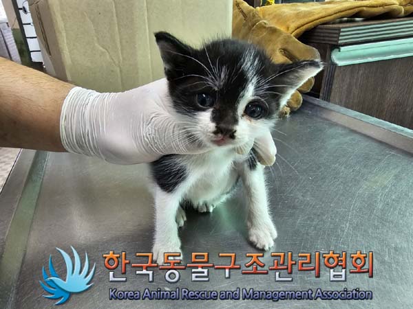 종료(자연사) 한국…